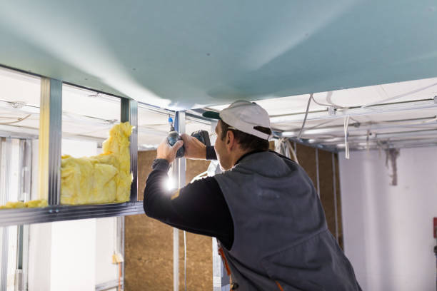Best Insulation Installation Services in Bridge City, LA