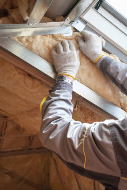 Best Residential Insulation in Bridge City, LA