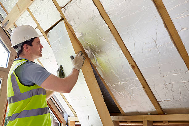 Best Insulation Maintenance and Repair in Bridge City, LA