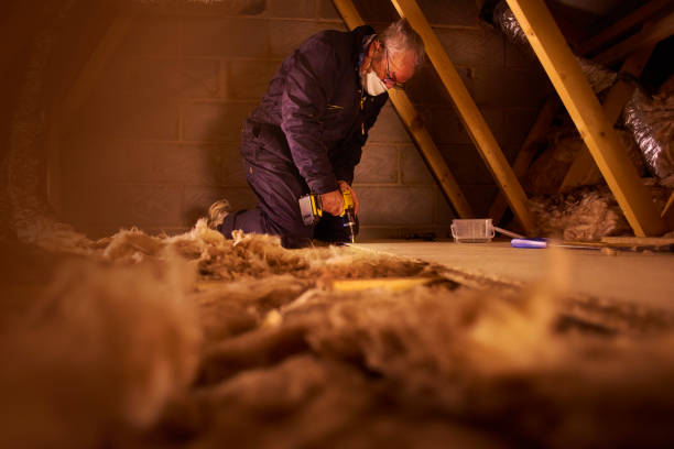 Best Types of Insulation in Bridge City, LA