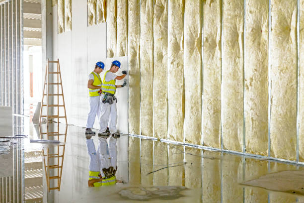 Best Commercial Insulation in Bridge City, LA